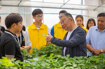 传承亚夫精神，贡献青春力量 江苏农林职业技术学院新禾助农服务团的乡村振兴实践